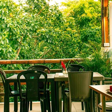 Tayrona Juancho'S House Hostel & Coworking Los Naranjos Dış mekan fotoğraf