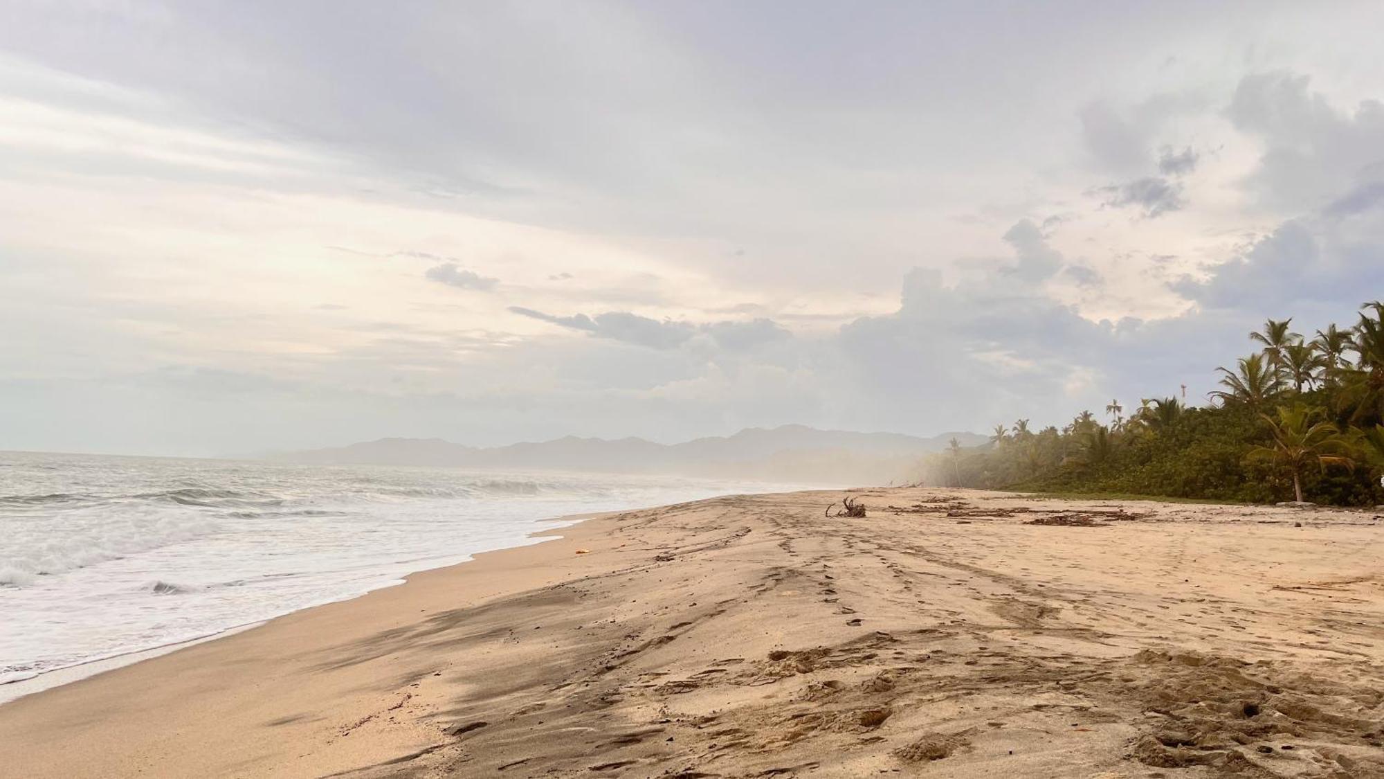 Tayrona Juancho'S House Hostel & Coworking Los Naranjos Dış mekan fotoğraf